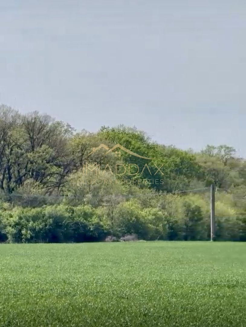 Teren Extravilan **7008 mp**Zona rezidentiala//Tamasi//Corbeanca - Poză 2