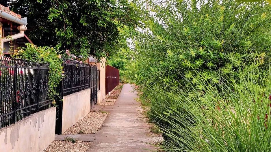 Casa 3 camere Sacuieni zona Garii - Poză 9
