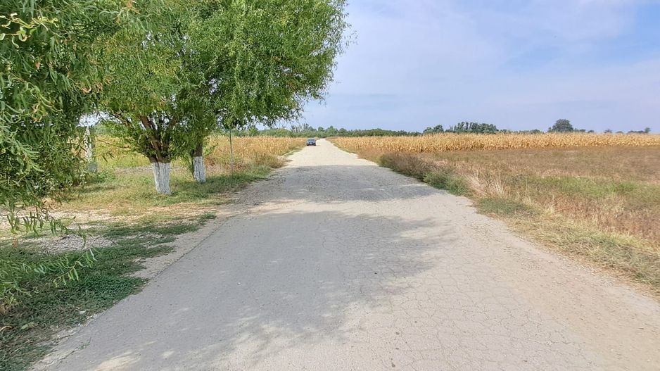 Palanca - Floresti - Stoenesti, Jud. Giurgiu, teren 4700 mp, utilitati - Poză 2