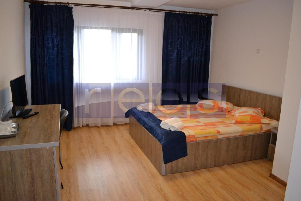 Afacere la cheie pensiunea Meridian sat Corbeni amortizare 30% / an - Poză 6