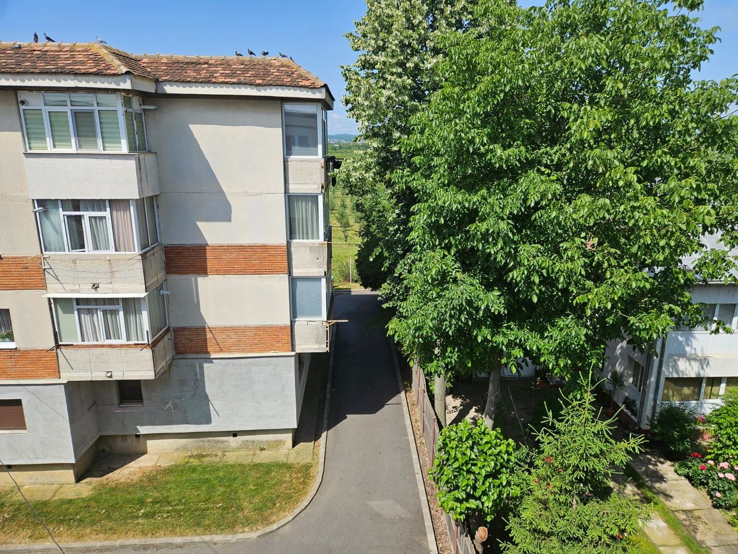 Vanzare apartament decomandat, Maracineni - Poză 4