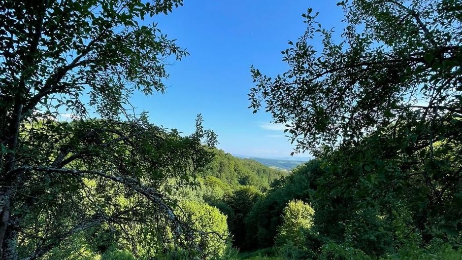 Teren zona turistica Rosia - Poză 3