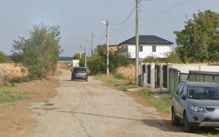 1000 mp intravilan, Moara Vlasiei - Poză 1