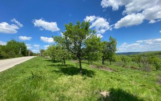 Teren premium 1000 mp-Sibiel - Poză 1