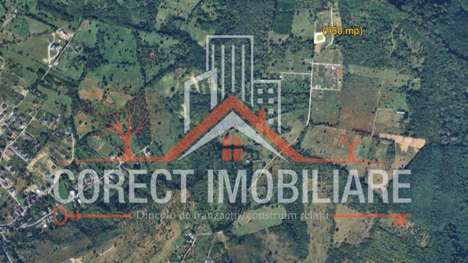 🌿 Teren de vânzare – Valea Budacului - Poză 2