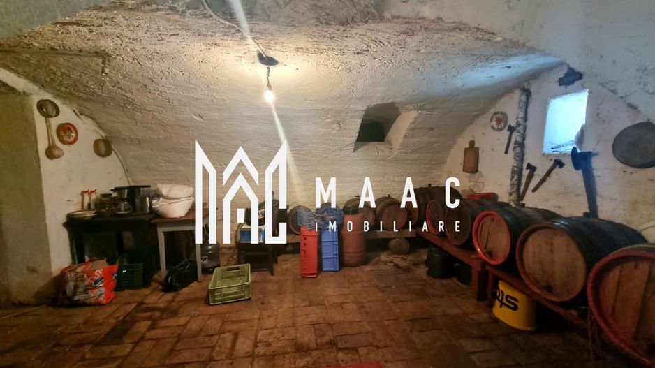Casa 6 camere I 250MPU | 867MP Teren | Turnisor - Poză 9