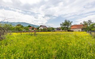Casa traditionala + 8.500 mp teren, intravilan, Sinca Noua, Brasov - Poză 16