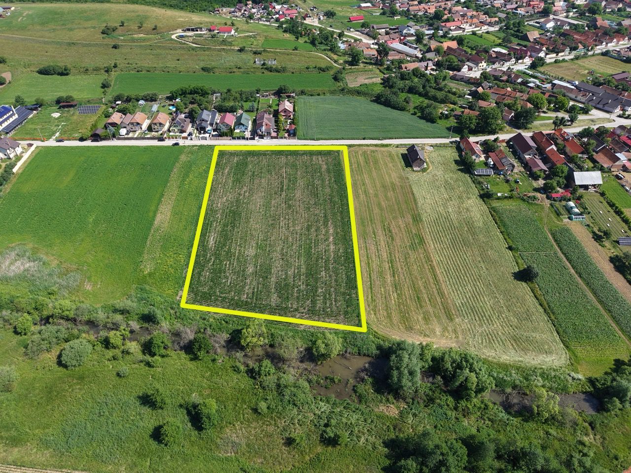Teren intravilan 10.000 mp, Rotbav (Feldioara) - Poză 2