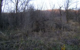 Teren de vanzare Cornu de Jos