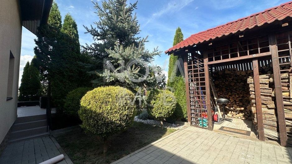 Casa individuala de vanzare - Sura Mare - Poză 3