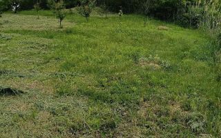 Teren de vânzare în Vorovești, comuna Miroslava – 1.500 mp - Poză 2