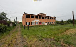 Hală industrială de vânzare – Sebiș, jud. Arad - Poză 3