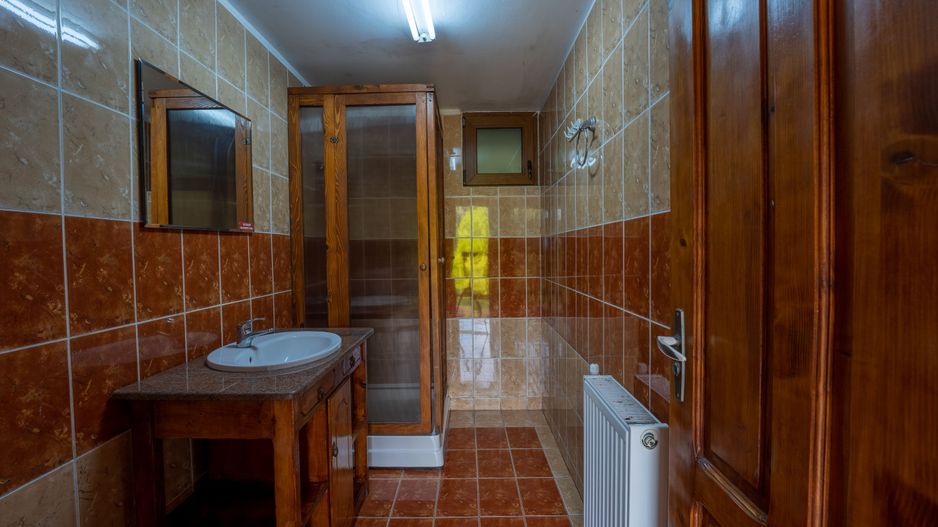 Domeniu în satul Căprioara - Poză 65