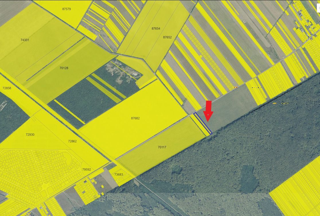 Teren de vânzare lângă pădure, intravilan - Poză 2