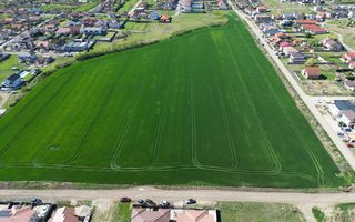 PUZ pentru servicii 7540mp | Dumbravita - Poză 4