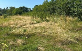 Casă tradițională cu anexă, beci și teren de 5700 mp, deschidere la drum principal, învecinată cu pădurea Bârnova, localitatea Pădureni, com. Grajduri, la 19 km de Iași - Poză 6