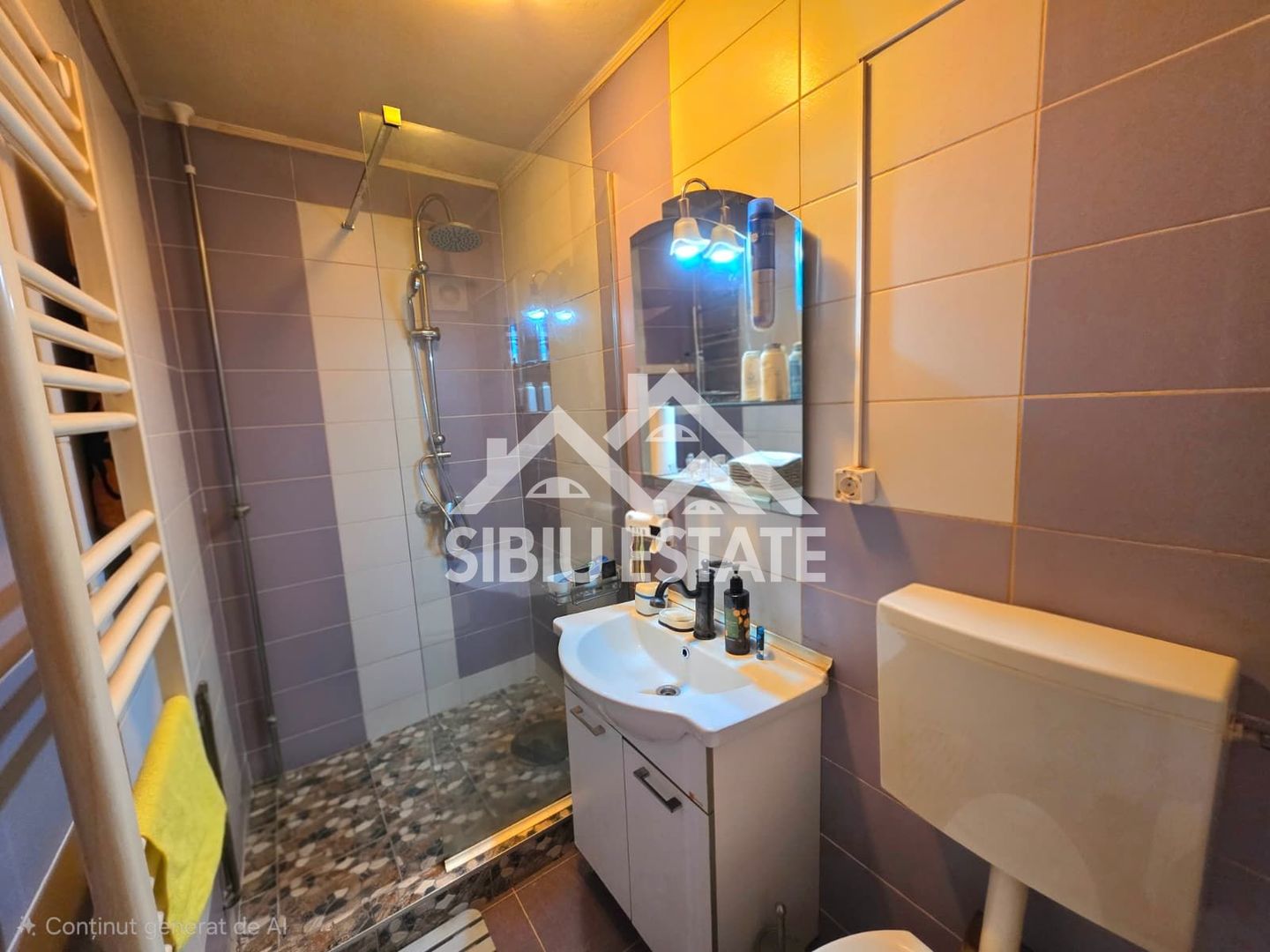 Apartament la mansarda Vasile Aaron - Poză 4