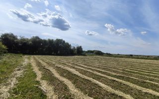 Teren de 11.000 mp cu casă și teren agricol | La 40 km de București | - Poză 1
