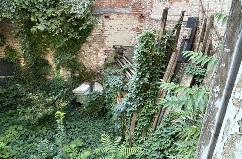 Imobil singur curte - Iulia Hasdeu 14 - de renovat. - Poză 7