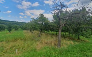 Teren de vanzare in Sibiel . - Poză 3