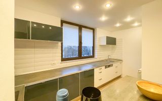 Chirie I Apartament 3 camere I North Area Lake View - Poză 6