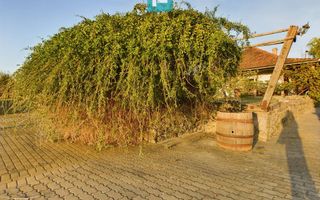 Pivnițele Birăuaș D.O.C Miniș - RATE FĂRĂ DOBÂNDĂ - Poză 34