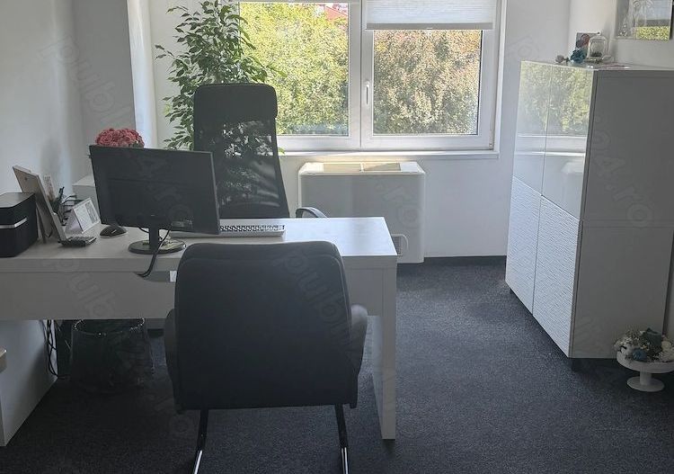Hala P+1 cu birouri, depozit si teren 2.641 mp de vanzare Timisoara - Poză 6