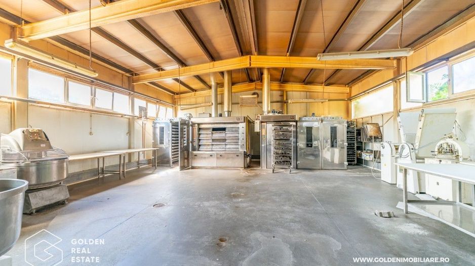 Locuinta de familie cu spatiu ideal pentru dezvoltarea unei afaceri - Poză 14