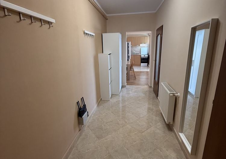 BRASADAS vinde ap 2 cam Carpati 2 - Poză 5