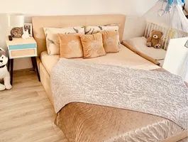Apartament 2 camere Giroc- la vila - Poză 4