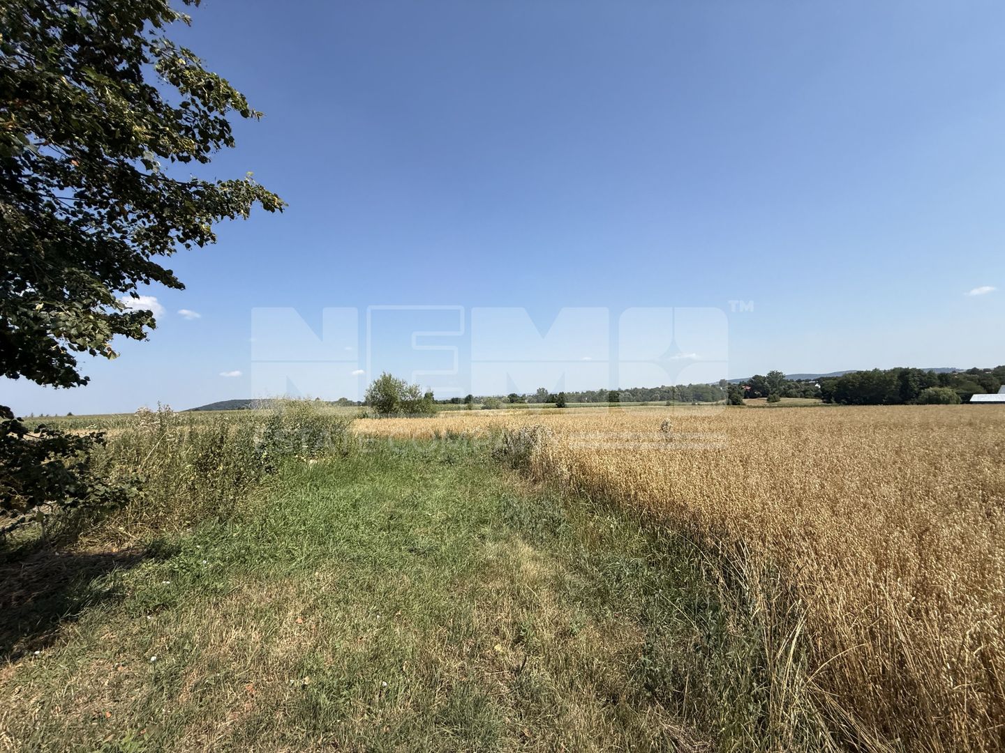 Teren intravilan de vânzare | Horodnic de Sus | 77 ari - Poză 7