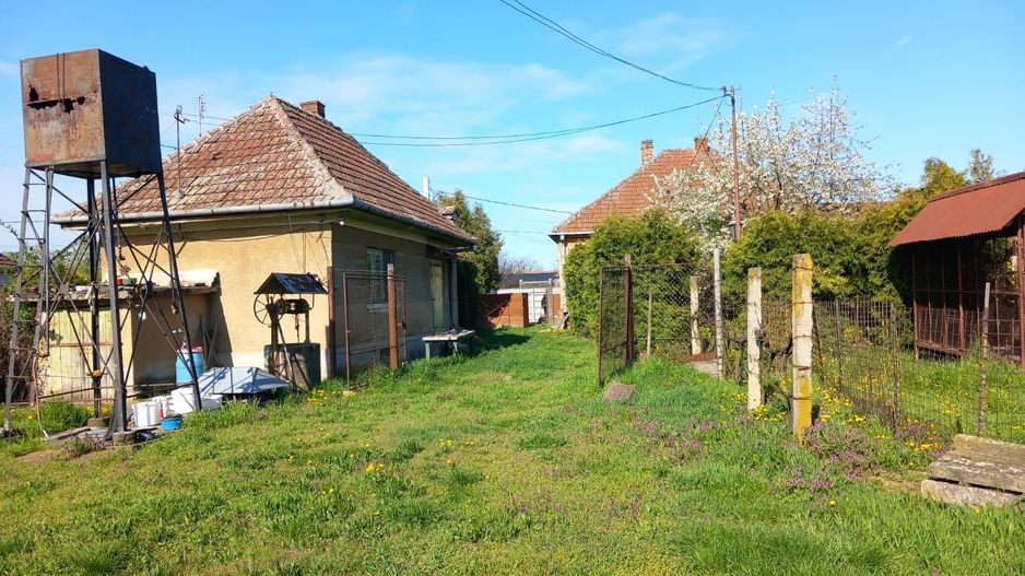 Ag EUROPA vinde casa cu 4 camere si teren de 60 ari in Ambud. - Poză 6