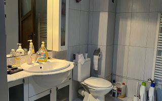 Vila S+P+1+M Lapus, str Paunitei - Poză 44