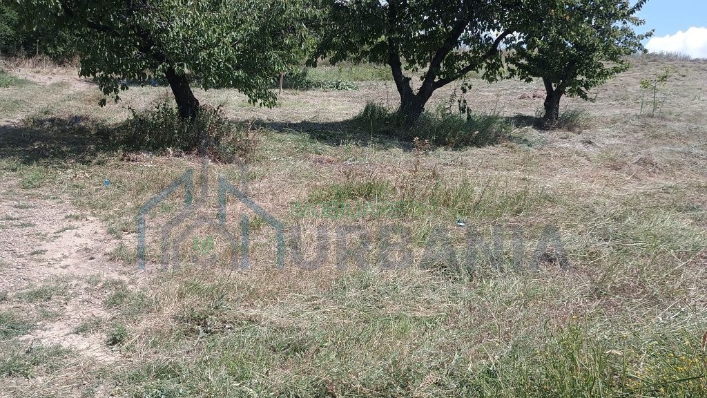 Teren Intravilan Construibil, 3000 mp, Chicerea, Utilități - Poză 4