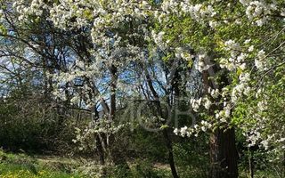 Casa individuala  - vedere spre padure - Parcul Sub Arini - Poză 39
