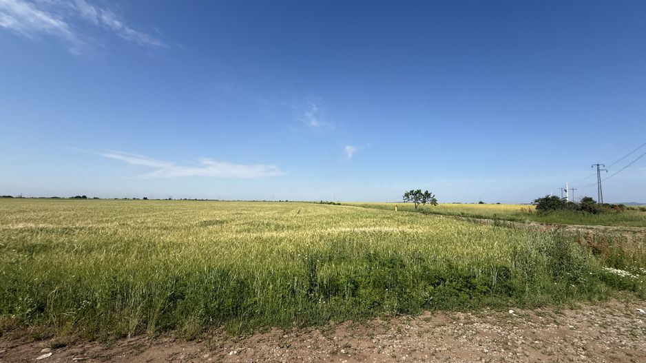 Teren 10 hectare pretabil pt panouri solare-Aricesti Rahtivani - Poză 11