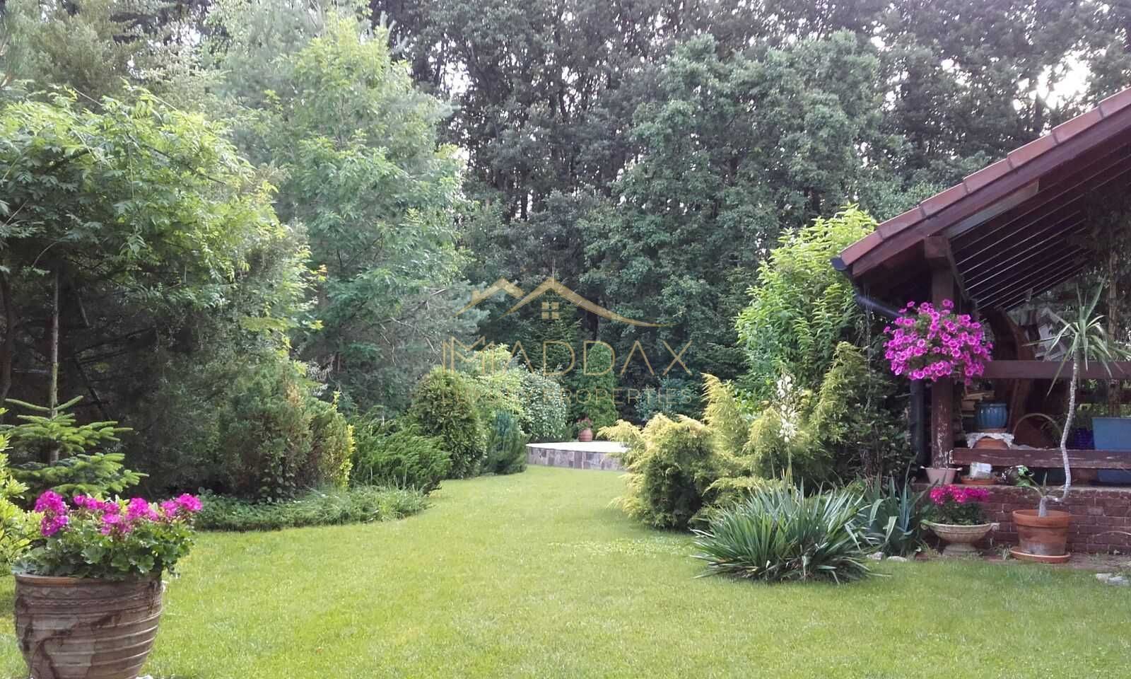 Vila spectaculoasa Corbeanca *padure proprie si piscina - Poză 4