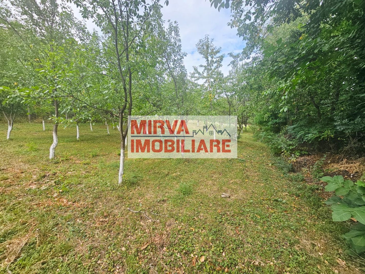 🏞️ Teren intravilan, cu priveliște – Vălenii de Munte - Poză 8