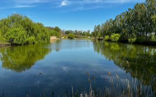 Vânzare, teren agricol, 90 ha, Orhei, satul Seliște - Poză 8
