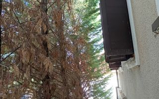 Casă de vânzare – Vladimirescu, județul Arad - Poză 21