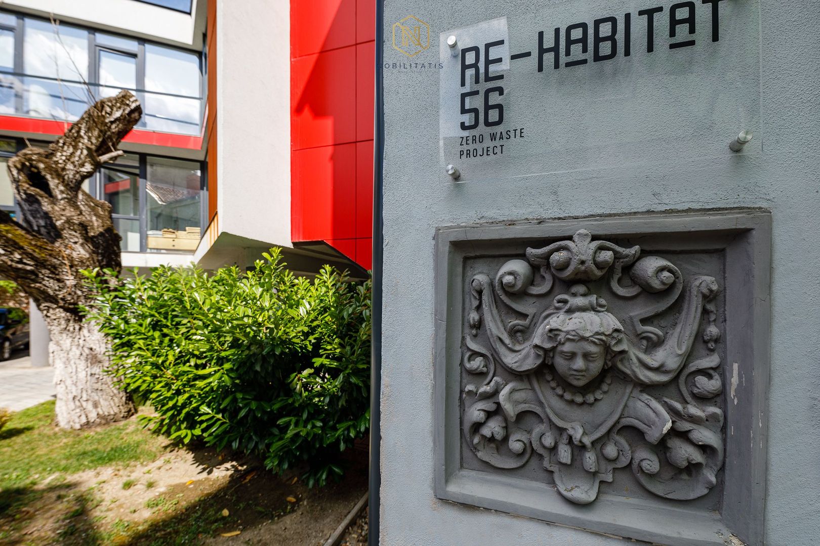 O Investiție de Excepție în Inima Timișoarei - Poză 17