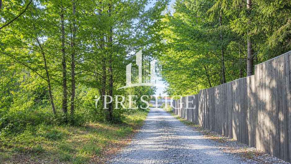 TEREN INTRAVILAN 744 MP | VALEA AVRIGULUI | IDEAL PENTRU CABANĂ - Poză 7