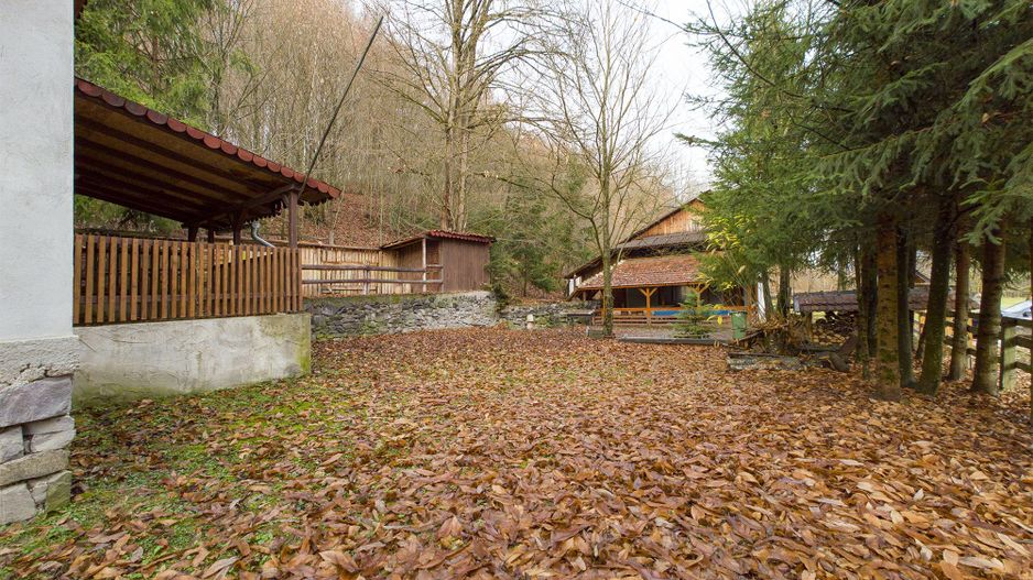 Casă de vacanța în Rădești jud.Arad - Poză 17