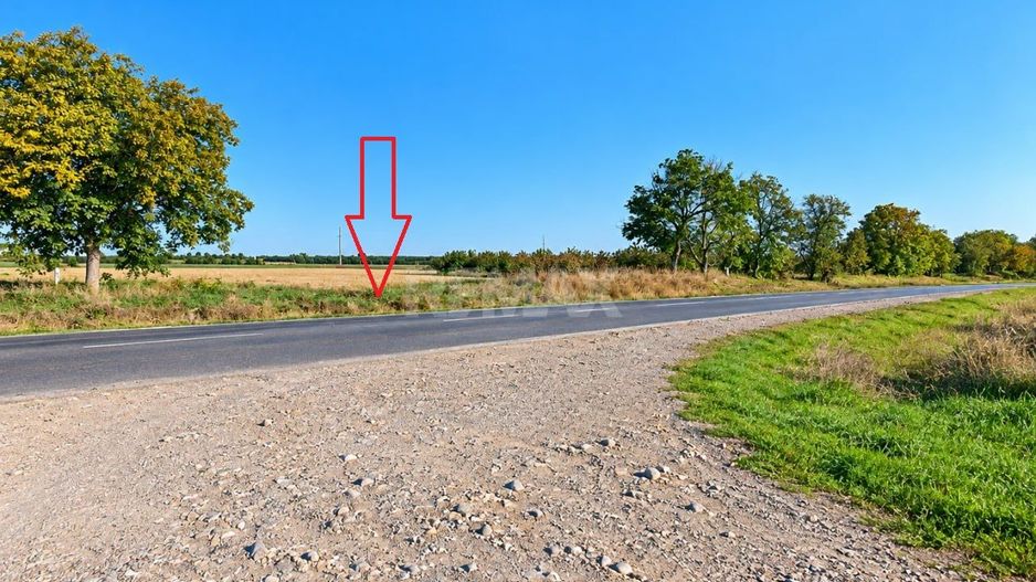 4,85 HA CU DESCHIDERE DE 300 M LA TRASEU | CRIULENI – SLOBOZIA-DUȘCA - Poză 3