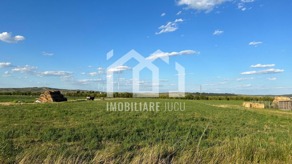 Sistematizare 6 parcele indviduale si 1 duplex, intravilan Jucu de Sus - Poză 8