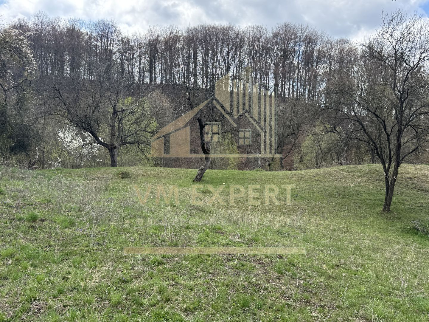 TEREN INTRAVILAN 4365 MP POENARII DE MUȘCEL  JUDEȚUL ARGES - Poză 27