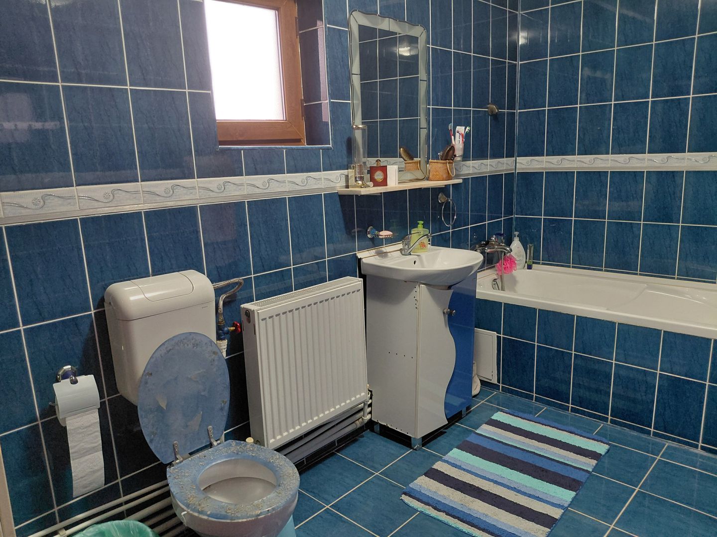 Casă Spațioasă P+1+M, 265 mp Utili, 1000 mp Teren – Toate Utilitățile, Vânători - Poză 22