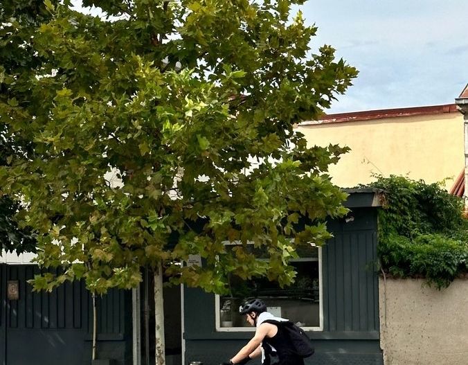 Parcul Carol Bucuresti - Poză 7