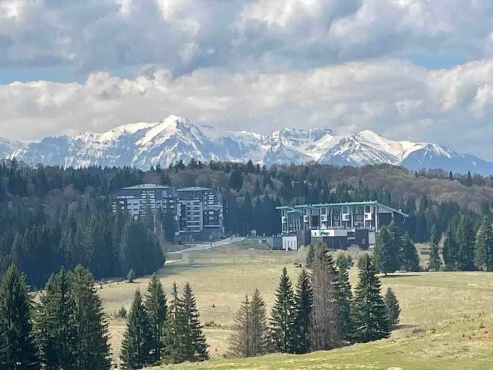 2 in 1, apartamente de 2 si de 4 camere, parcari, Silver Mountain - Poză 2