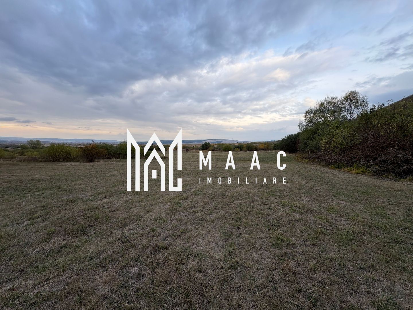 Teren de vânzare 5.000 mp | Poplaca | lângă pădure - Poză 6